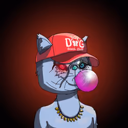 Top Cat #4755