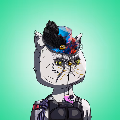 Topcatbeachclub