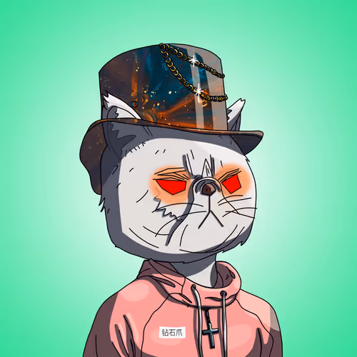 Topcatbeachclub