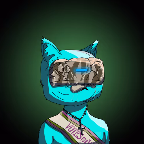 Topcatbeachclub