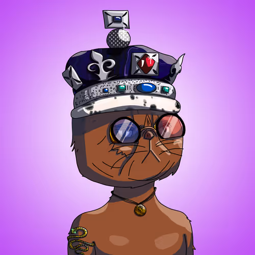 Topcatbeachclub