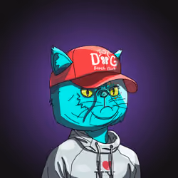 Top Cat #4856