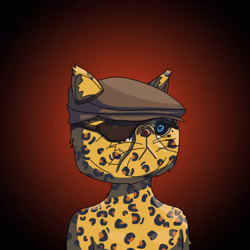 Topcatbeachclub