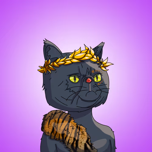 Topcatbeachclub
