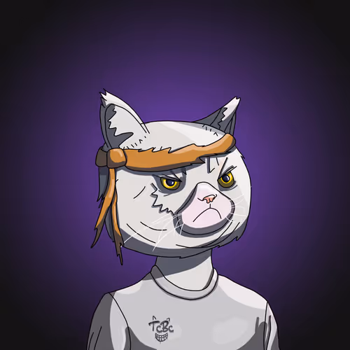 Top Cat #6849