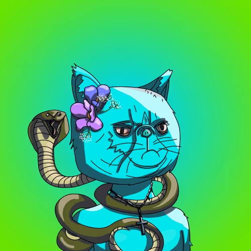 Topcatbeachclub