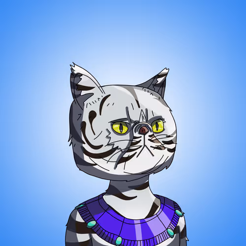 Topcatbeachclub