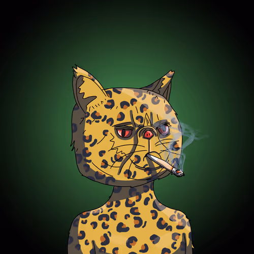 Top Cat #3990