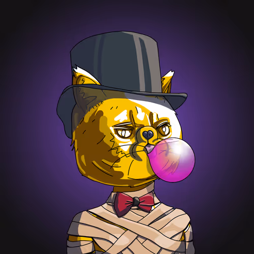Topcatbeachclub