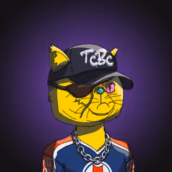 Top Cat #3364