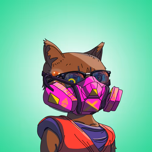 Topcatbeachclub