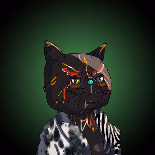 Topcatbeachclub