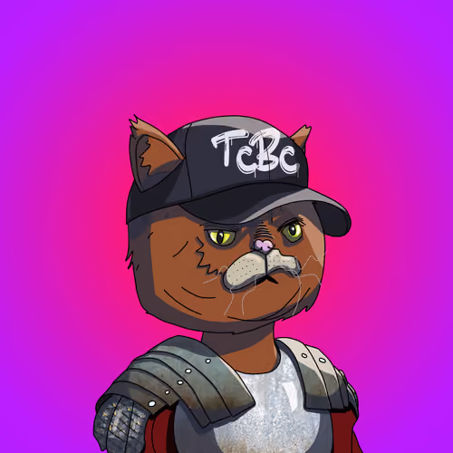 Top Cat #7307