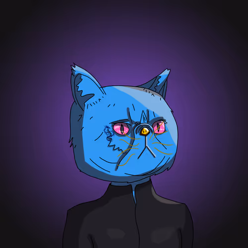 Topcatbeachclub