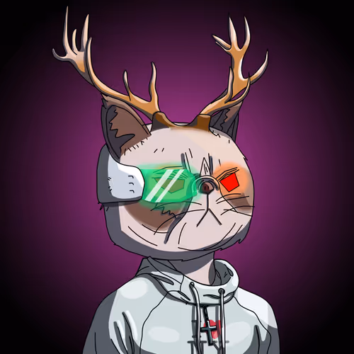 Topcatbeachclub