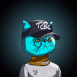 Top Cat #6569