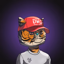 Top Cat #435