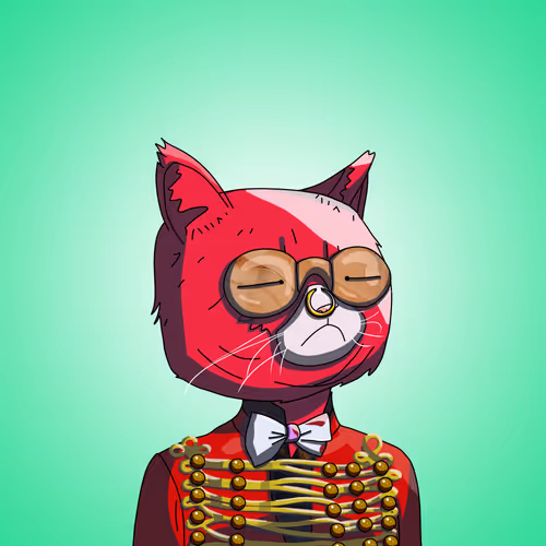 Topcatbeachclub