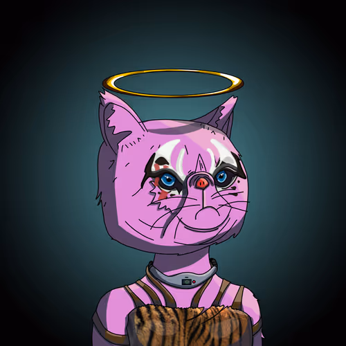 Topcatbeachclub