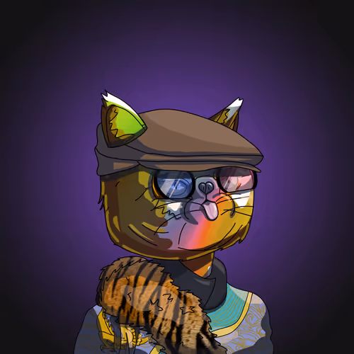 Topcatbeachclub