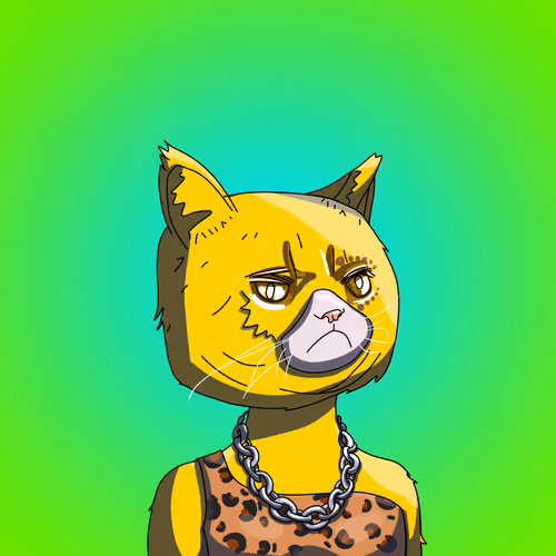 Topcatbeachclub