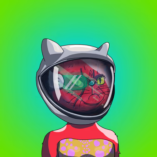 Topcatbeachclub