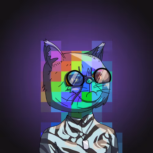 Topcatbeachclub