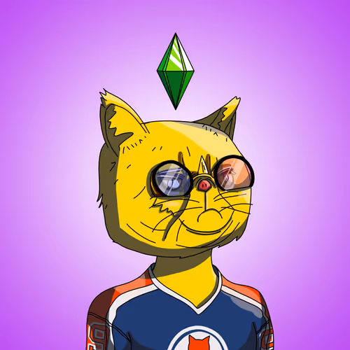 Topcatbeachclub