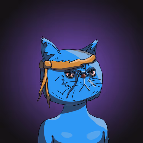 Topcatbeachclub
