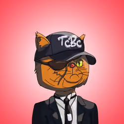 Top Cat #6628