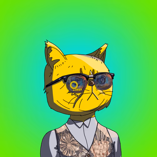 Topcatbeachclub