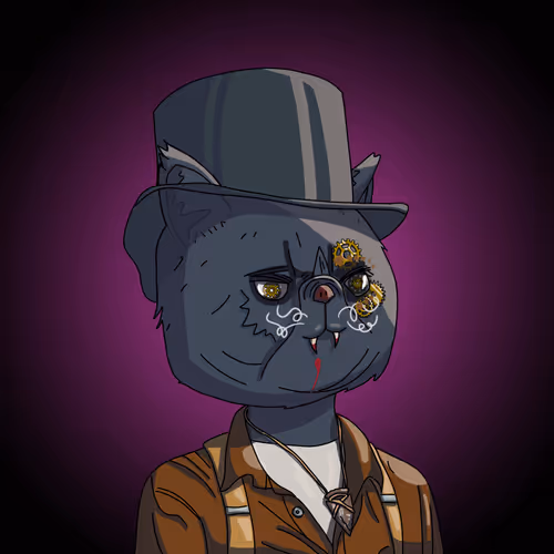 Topcatbeachclub