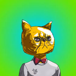 Top Cat #6823
