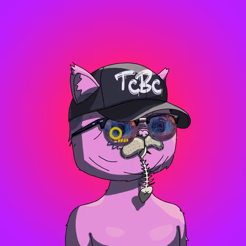Topcatbeachclub