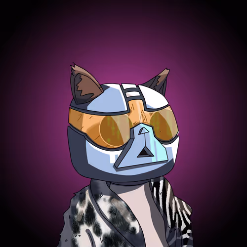 Topcatbeachclub