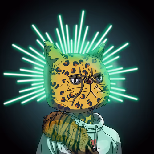 Topcatbeachclub