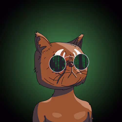 Topcatbeachclub