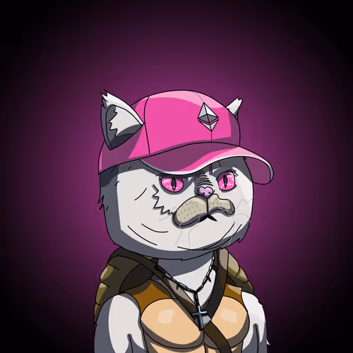 Topcatbeachclub
