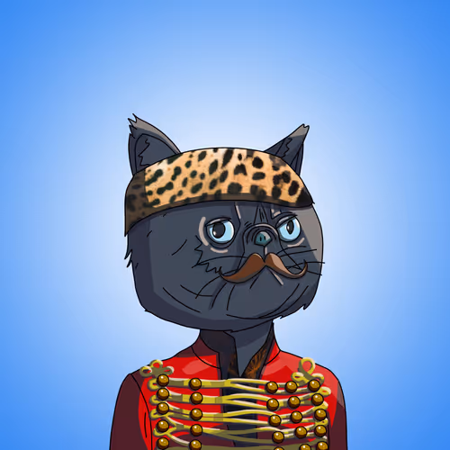 Top Cat #5861