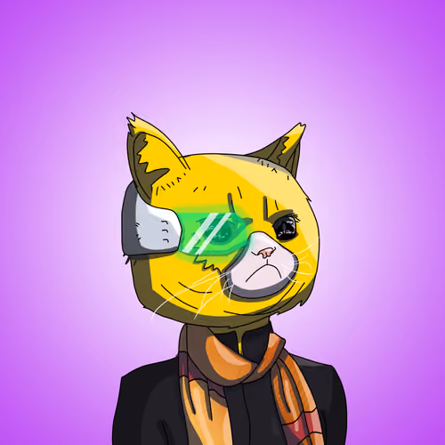 Top Cat #7875