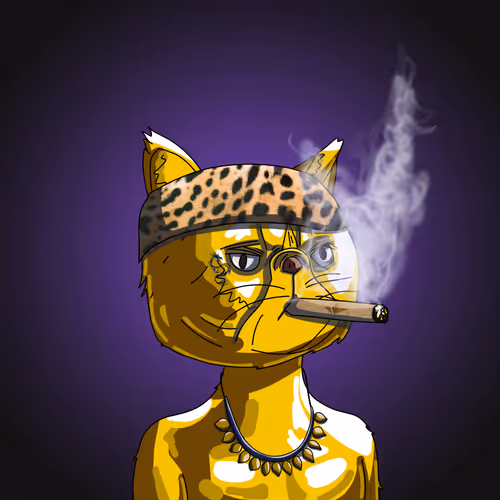 Topcatbeachclub