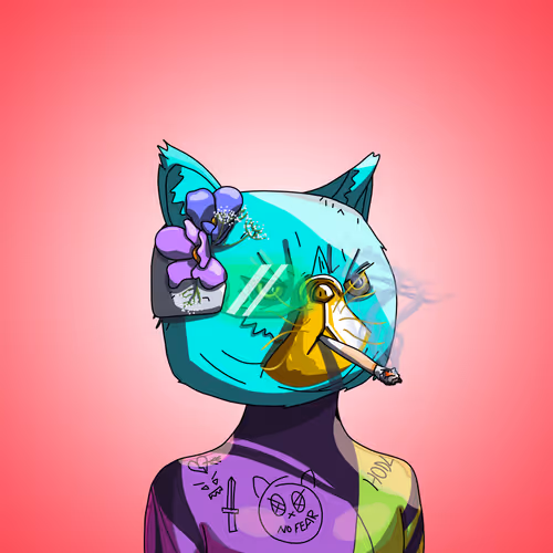 Topcatbeachclub
