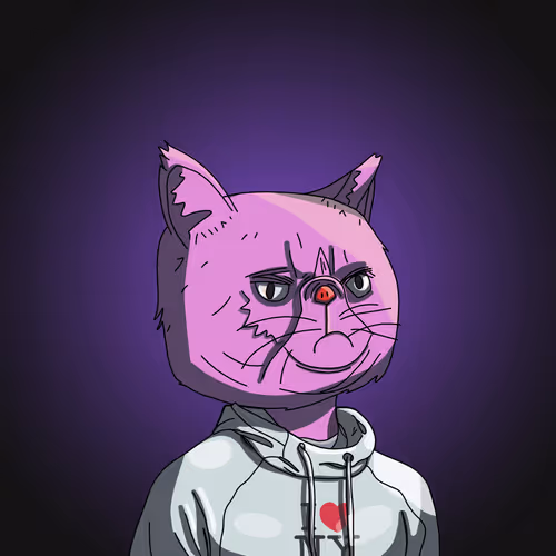 Topcatbeachclub