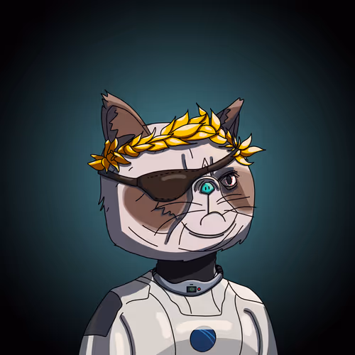 Topcatbeachclub