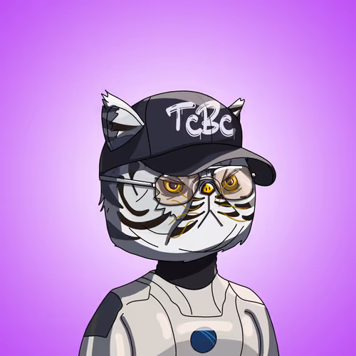 Topcatbeachclub