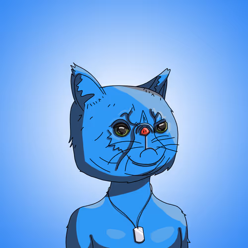 Topcatbeachclub