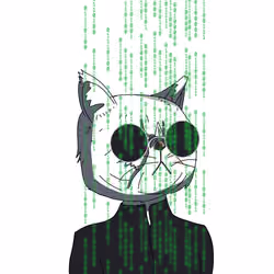 Top Cat #321