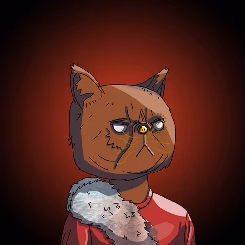 Topcatbeachclub
