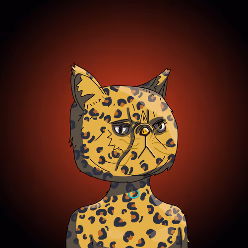 Topcatbeachclub