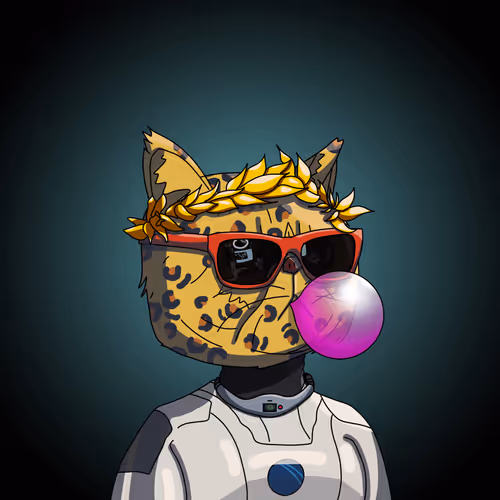 Topcatbeachclub